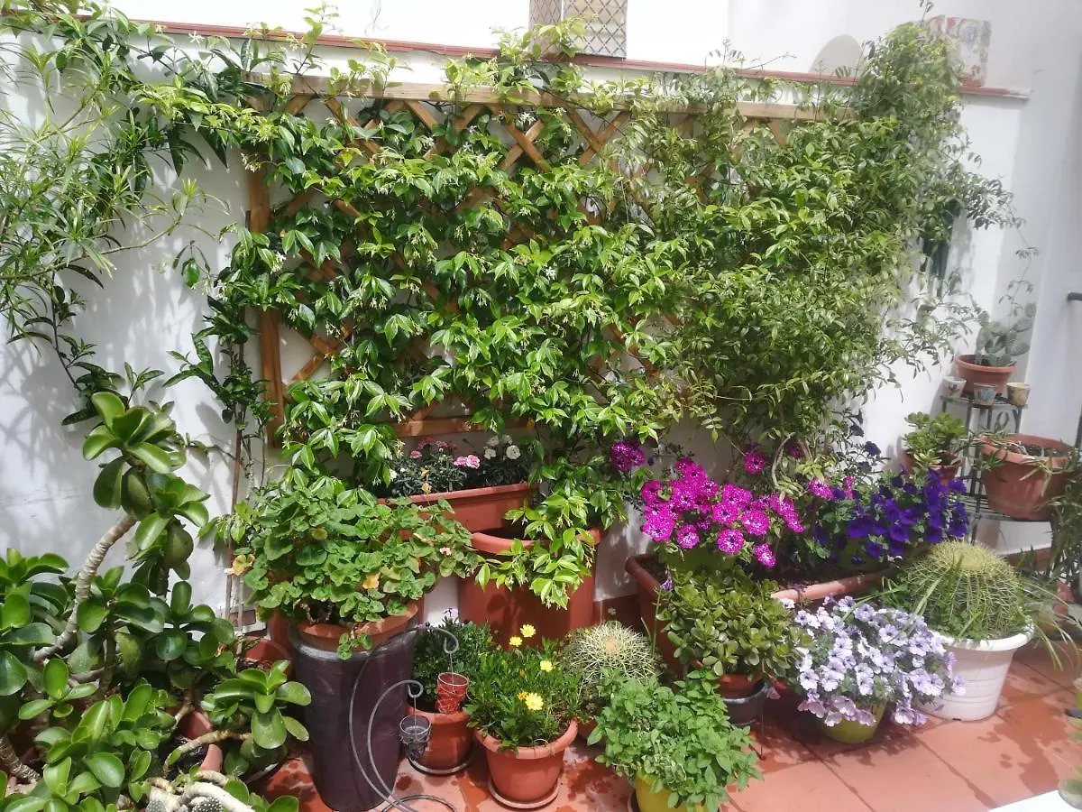 Apartment At Kalsa Quiet Flowered Terrace! Free Parking! Ideal For Remote Working! Palermo